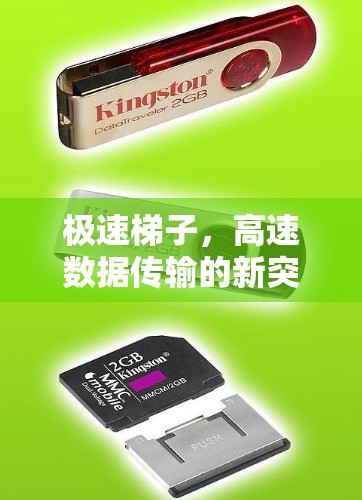 极速梯子，高速数据传输的新突破
