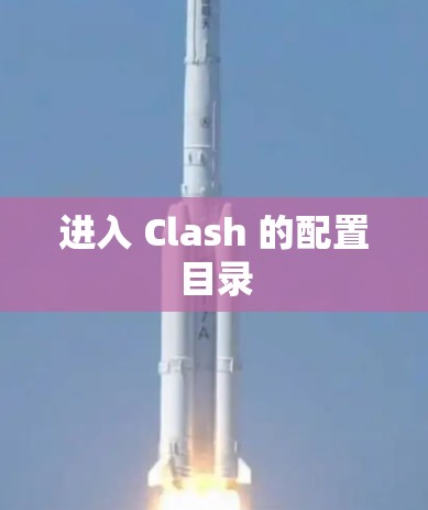 进入 Clash 的配置目录 进入 Clash 的配置目录