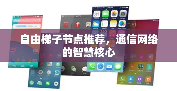 自由梯子节点推荐,通信网络的智慧核心 自由梯子节点推荐,通信网络的智慧核心