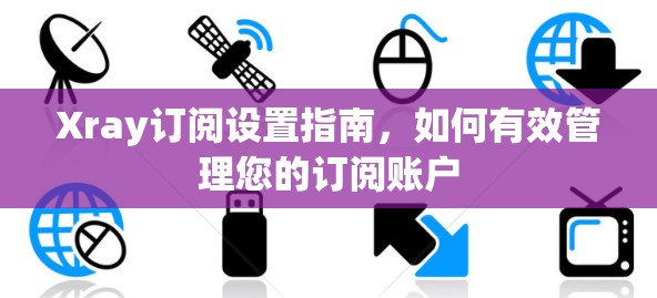 Xray订阅设置指南，如何有效管理您的订阅账户