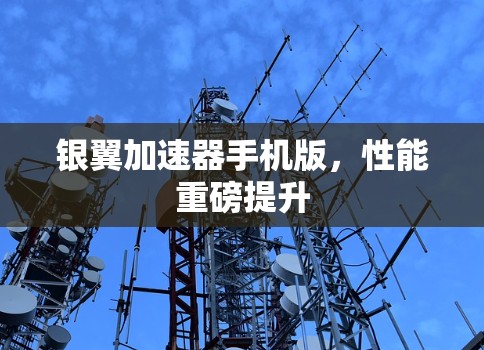 银翼加速器手机版,性能重磅提升 银翼加速器手机版,性能重磅提升