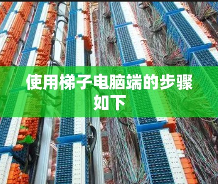 使用梯子电脑端的步骤如下