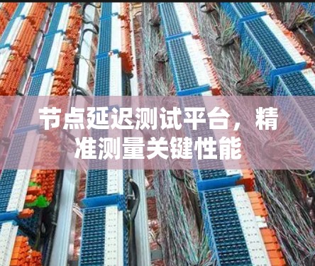 节点延迟测试平台，精准测量关键性能
