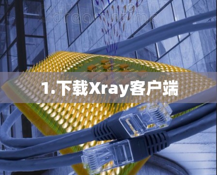 1.下载Xray客户端