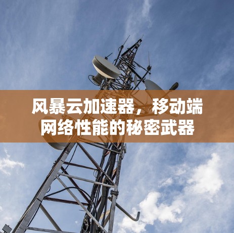 风暴云加速器，移动端网络性能的秘密武器