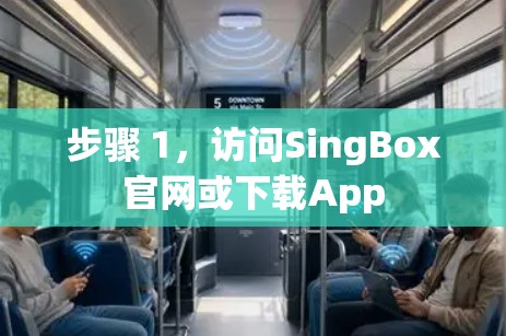 步骤 1，访问SingBox官网或下载App