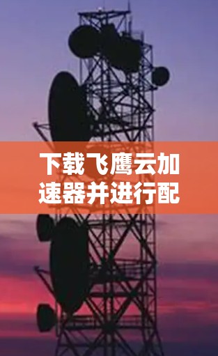 下载飞鹰云加速器并进行配置的步骤如下