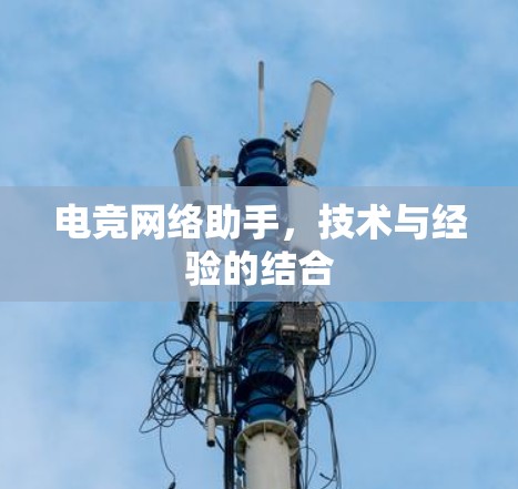 电竞网络助手，技术与经验的结合