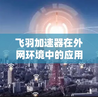 飞羽加速器在外网环境中的应用提供了多种优势，帮助用户优化数据传输和服务通信。以下是对飞羽加速器外网工具的详细分析