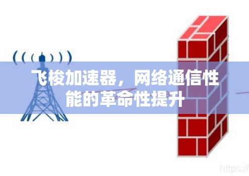 飞梭加速器，网络通信性能的革命性提升