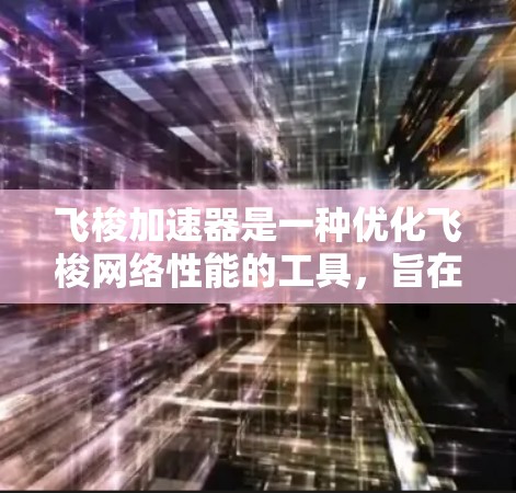 飞梭加速器是一种优化飞梭网络性能的工具，旨在提高数据传输速度和减少延迟。以下是实现飞梭加速器的一些关键步骤和考虑因素
