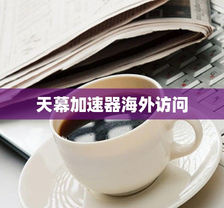 天幕加速器海外访问